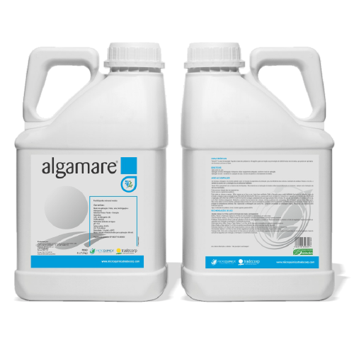 Algamare.png Algamare.png