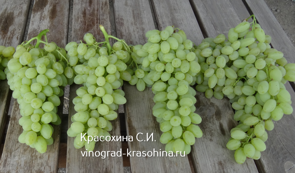 Столетие (15) (1).jpg Столетие (15) (1).jpg