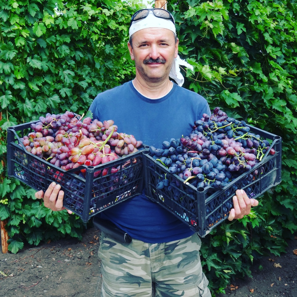 2019-08-13 17-36-34.JPG