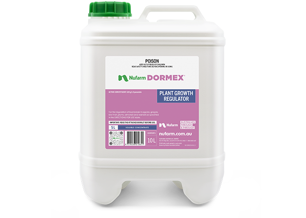 DORMEX.png DORMEX.png