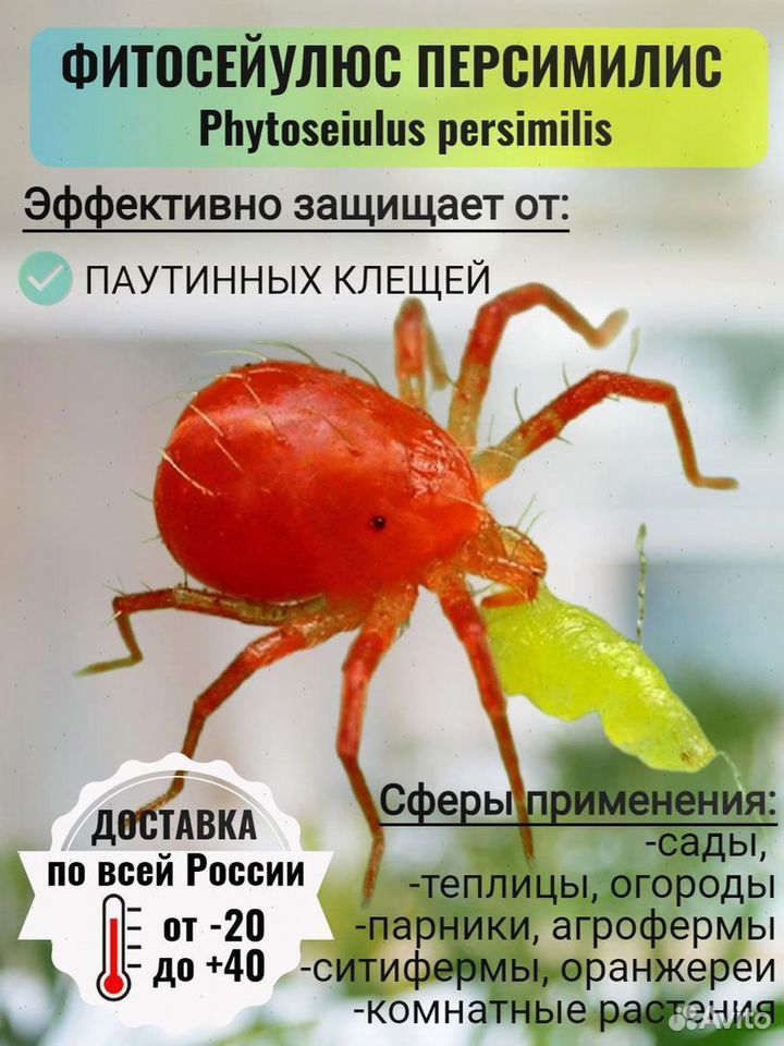 1 (2).jpg