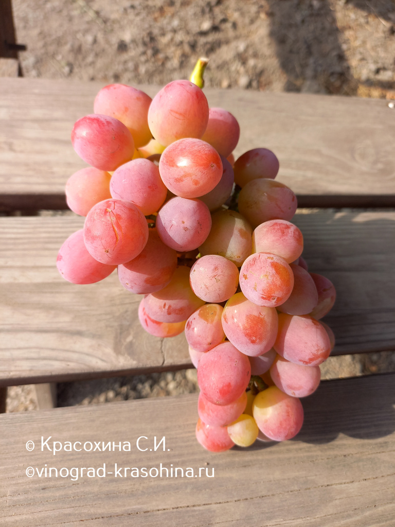 Вкусняшка (15).jpg