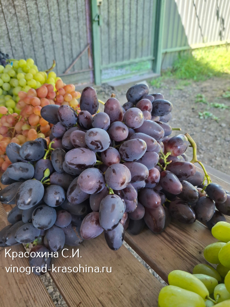 Черный кристалл виноград.jpg