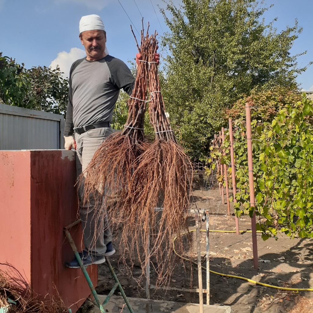 2019-10-02 04-35-38.JPG