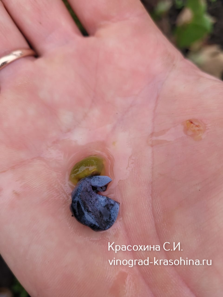 Оджалеши (12).jpg