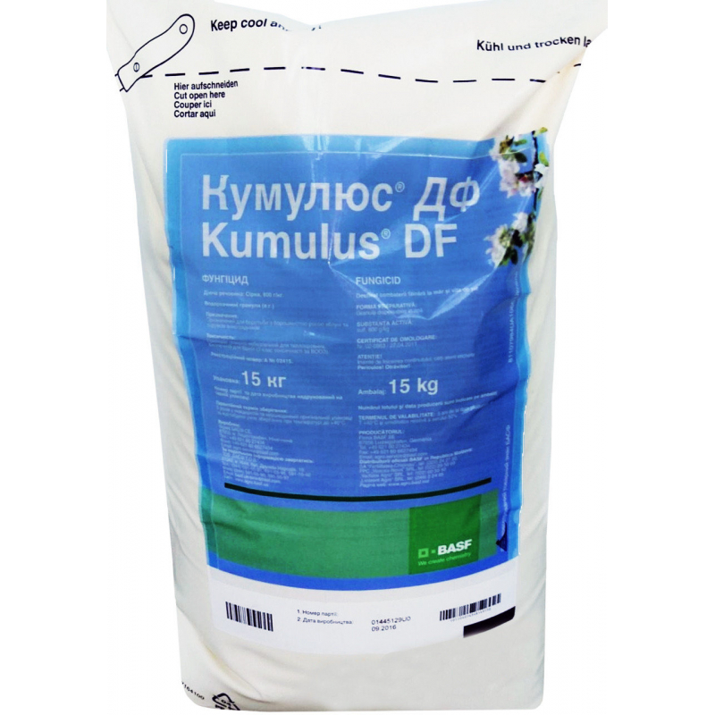 кумулюс.jpg