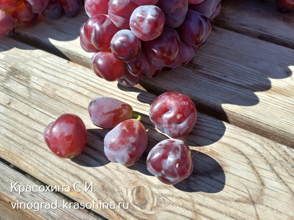 Мое сердце (11).jpg Мое сердце (11).jpg