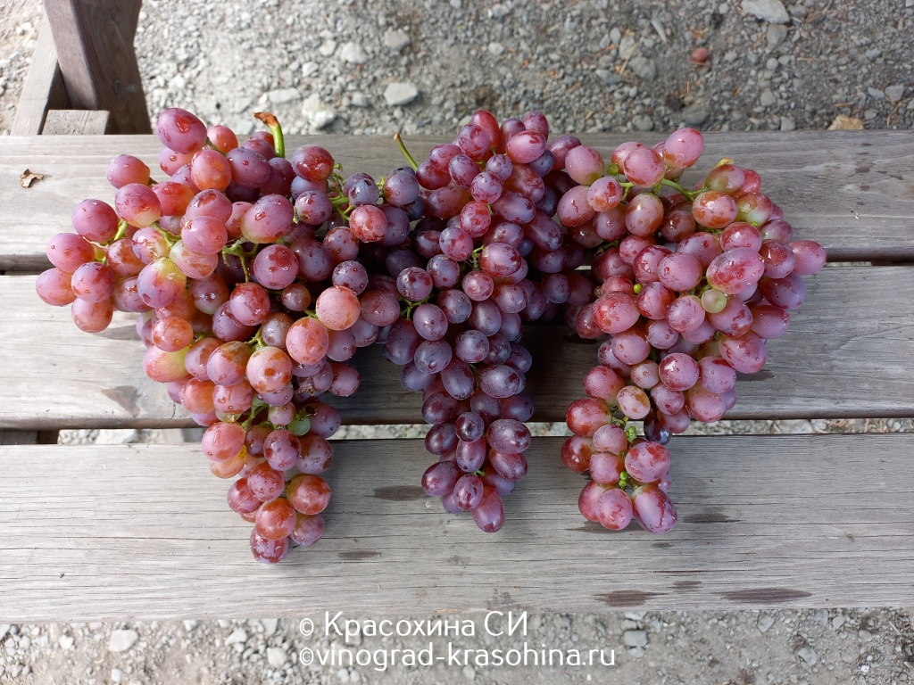 333.JPG
