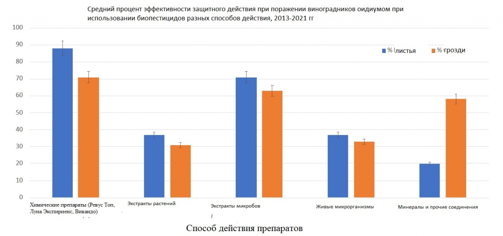 рис 1.jpg