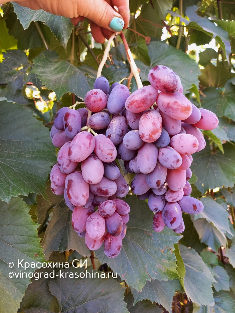 Байконур (20).JPG