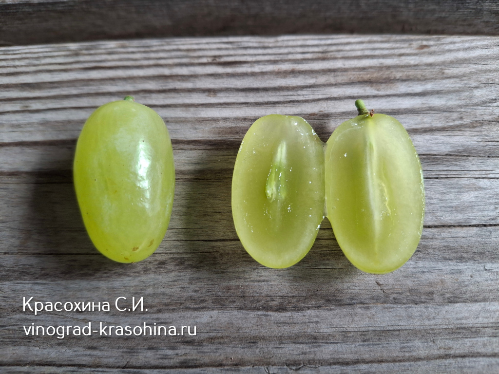 бессемянный виноград ягода (1).jpg
