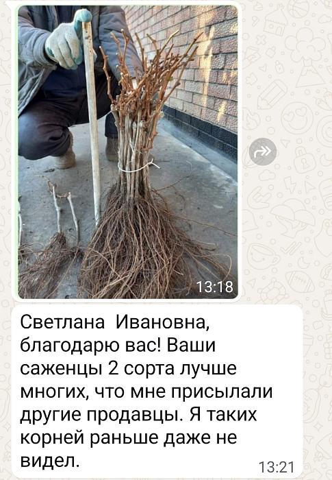 Василий