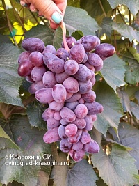 Байконур