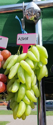 Азия
